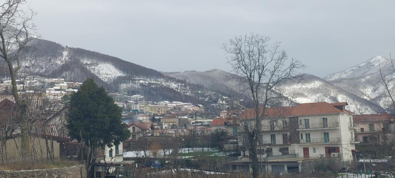 مبيت وإفطار أَجيرولا Haidi House المظهر الخارجي الصورة